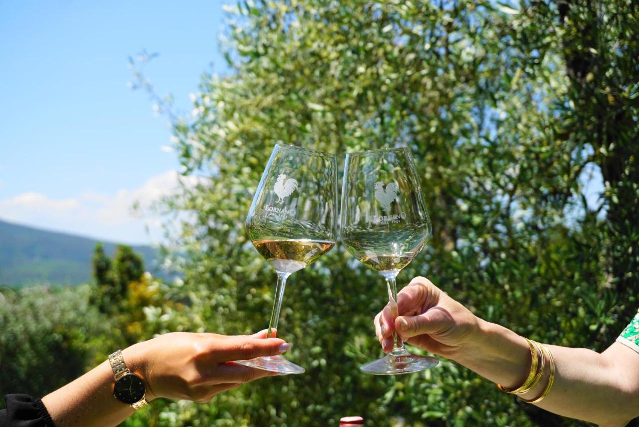 Fattoria Lornano Winery Villa Monteriggioni Kültér fotó