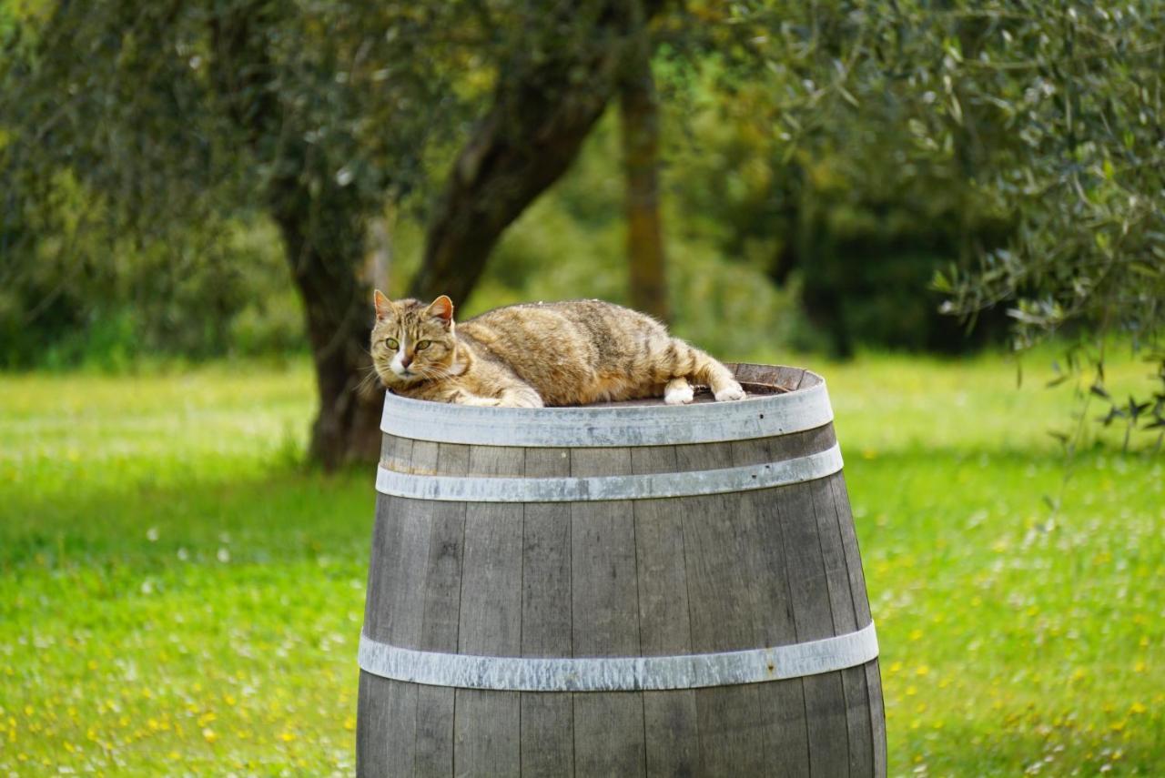 Fattoria Lornano Winery Villa Monteriggioni Kültér fotó
