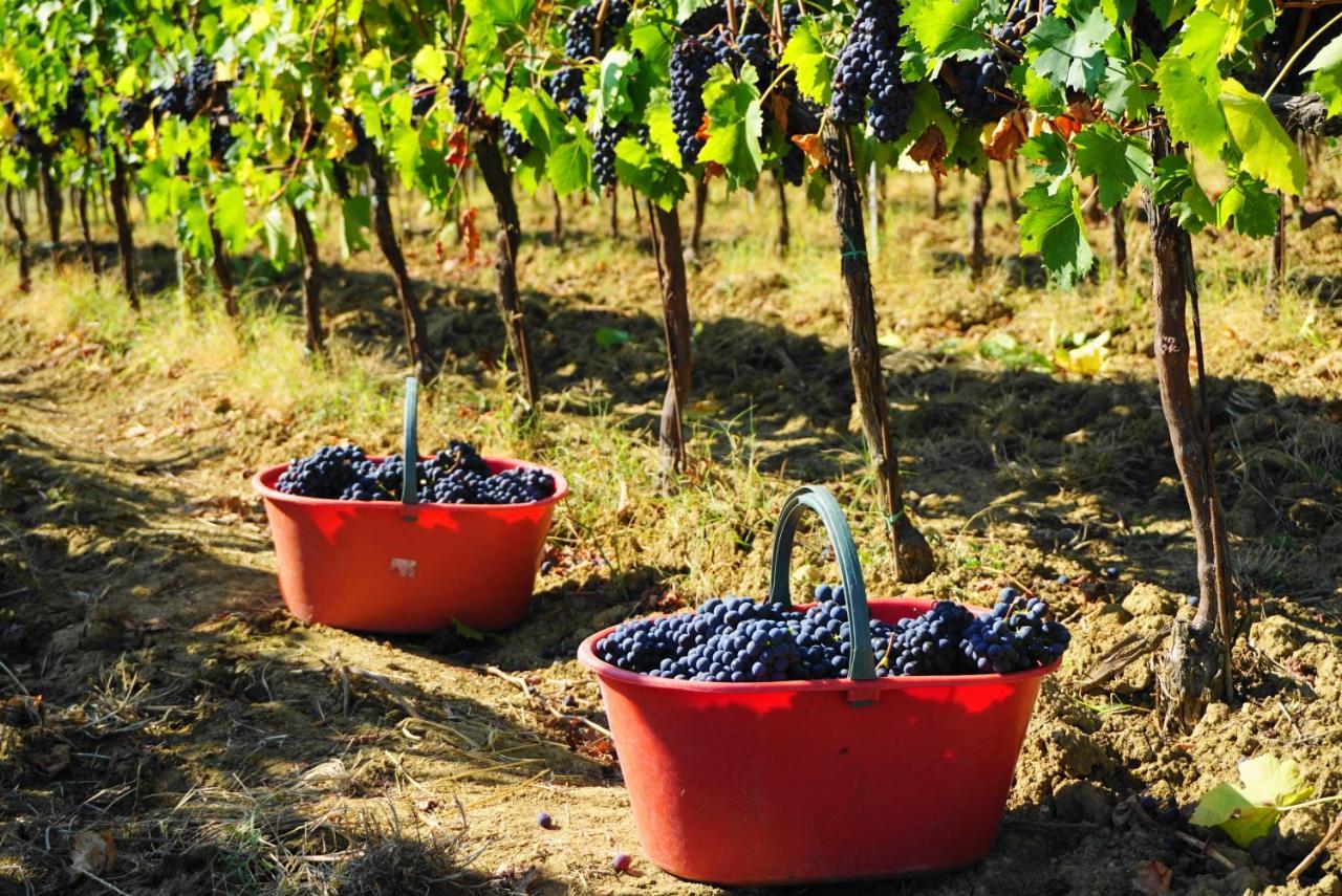 Fattoria Lornano Winery Villa Monteriggioni Kültér fotó